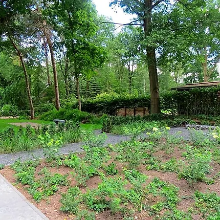Feriepark 't Salehemse Huuske *
